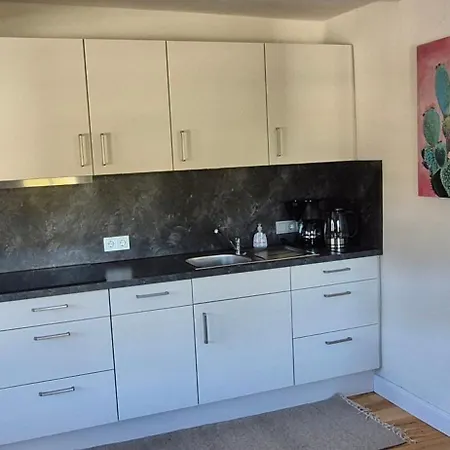 Haus Hugo Apartment *